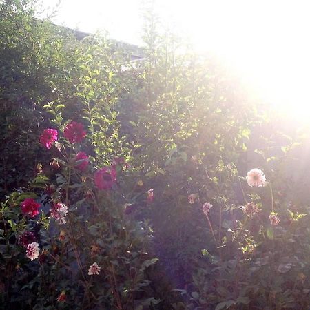 Friendly B&B Gjumri Exterior foto